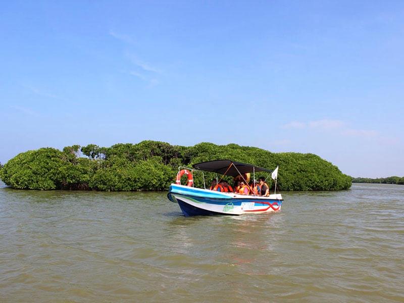Boat Trip at Negombo Lagoon